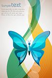butterfly on abstract background