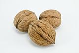 Close-up walnut