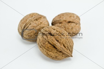 Close-up walnut