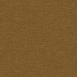 abstract brown background (texture)