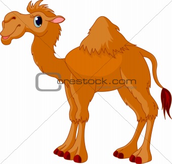 cute cartoon camels