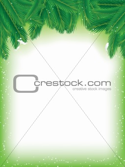 Pine Branches Background