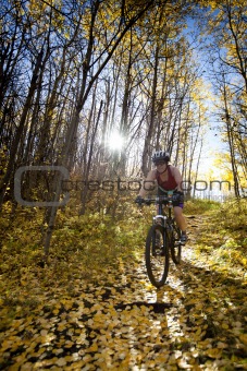 Woman mountain biking down sunny autumn trail
