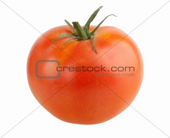 One tomato isolated