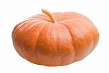 Pumpkin isolated