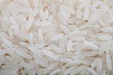 Rice long grain closeup