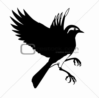 vector silhouette of the small bird on white background