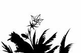 vector silhouette of the flower amongst herbs