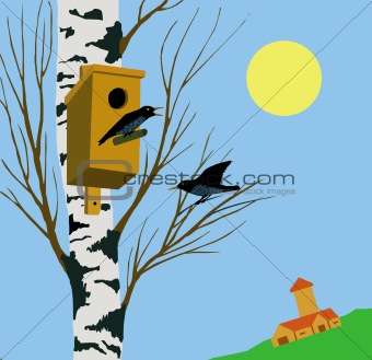 vector illustration starling on tree