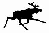 vector silhouette moose on white background