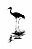 silhouette of the crane