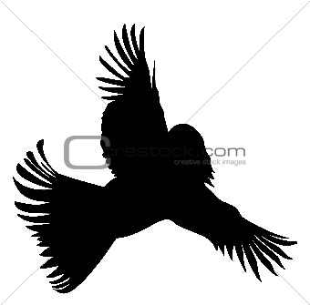 vector silhouette of the bird with head of the woman