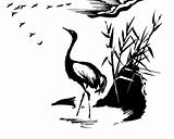 vector illustration of the crane on white background