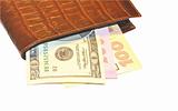 Closeup of brown man purse and money