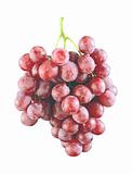 pink grape isolated on white background
