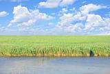 river, meadow with green grass and perfect blue sky