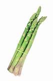 tied bundle of asparagus isolated on white background