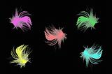 bright multicolor feathers on black background