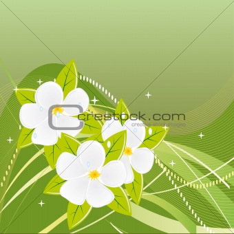 Abstract green background with magnolias