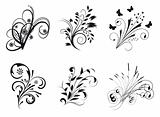 Collection of decorative elements for design