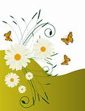 Abstract background with daisies and butterflies