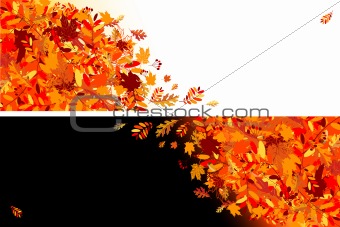 Autumn leaves banners for your design