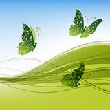 Green background with beautiful butterflies for your design 