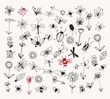 Insect sketch collection for your design