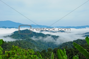 Morning mist at Kaeng Krachan National Park, Thailand