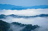 Morning mist at Kaeng Krachan National Park, Thailand