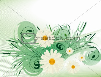 Abstract background with white daisies