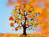 Beautiful autumn tree for your design.