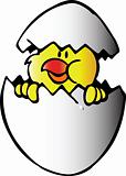 Chicken in egg. Vector illustration 