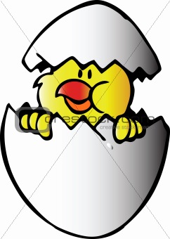 Chicken in egg. Vector illustration 