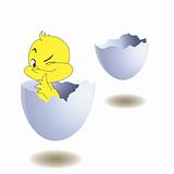Yellow chicken in egg. Vector illustration