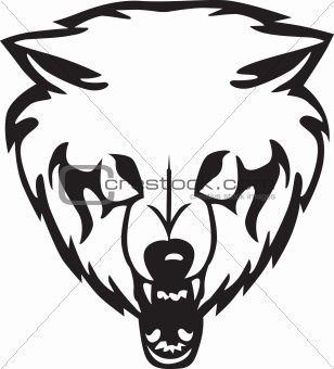 Head of a wolf.Vector illustration
