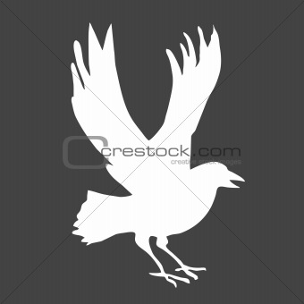 vector silhouette ravens on gray background
