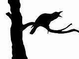 vector silhouette ravens on branch tree