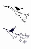 vector silhouette of the bird on branch tree