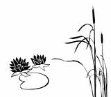 vector silhouette of the marsh plants on white background
