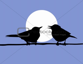 vector drawing two birds  on solar background