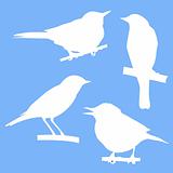 vector silhouettes of the birds sitting on branch tree