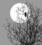 vector  illustration ravens sitting on tree against sun