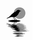 vector silhouette of the bird on stone amongst water