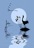 vector silhouette of the birds on lake