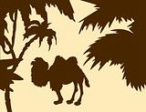 silhouette camel