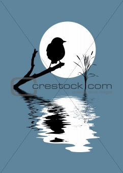vector silhouette bird on branch