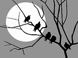 vector  illustration migrating starling on branch tree