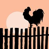 silhouette of the cock on old fence