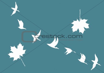 vector  silhouettes of the cranes and maple leafs